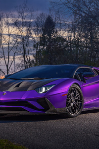720x1280 Purple Lamborghini Aventador 5k