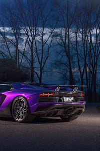 720x1280 Purple Lamborghini Aventador Rear 5k