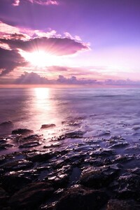 Purple Seascape (1080x2160) Resolution Wallpaper
