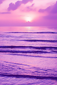 480x800 Purple Sunset 4k