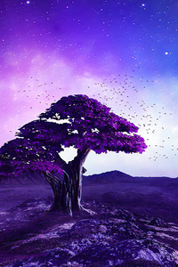 Purple Tree Stories