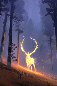 Quest Deer (1440x2560) Resolution Wallpaper