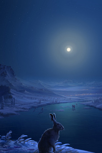 Rabbit Frozen Lake Dark Night (1440x2560) Resolution Wallpaper