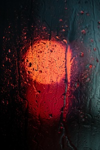 Raining Night Drops Macro 5k (480x854) Resolution Wallpaper