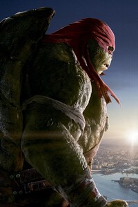 Raphael Teenage Mutant Ninja Turtles