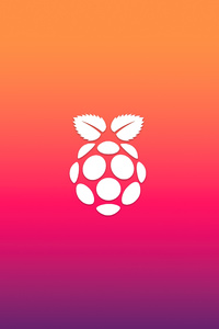 720x1280 Raspberry Pi Logo Minimal 5k