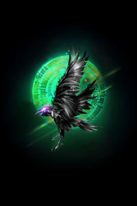 Raven Code Of The Shadows (1080x1920) Resolution Wallpaper