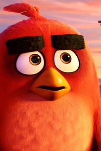 Red And Chuck Angry Birds