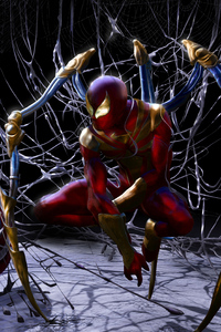 Red And Gold Spiderman (1080x2160) Resolution Wallpaper