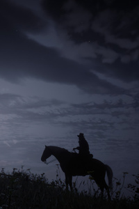240x320 Red Dead Redemption2 Silhouette