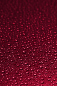 Red Drops Texture 5k (480x800) Resolution Wallpaper