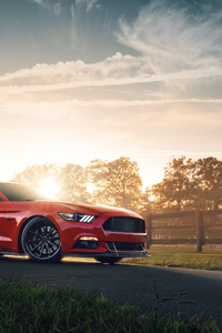 Red Ford Mustang 2021 4k (1125x2436) Resolution Wallpaper