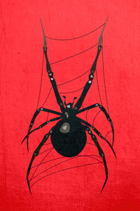 Red Spider 5k (640x1136) Resolution Wallpaper