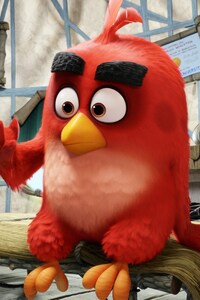 Red The Angry Birds (1080x2160) Resolution Wallpaper