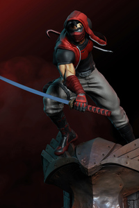 1440x2960 Redhood And The Outlaws