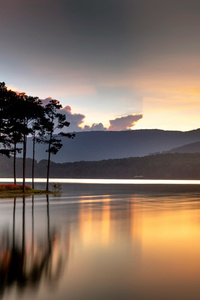 Reflection Of Trees On Body Of Water (1242x2668) Resolution Wallpaper