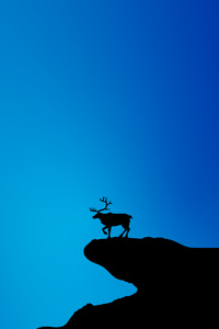 Reindeer Blue Minimal 5k