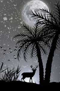 Reindeer Dark Night Moon Minimalist