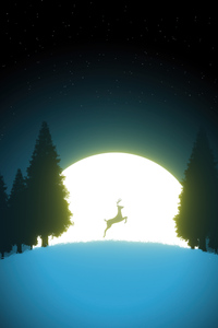 Reindeer Night Jump 5k