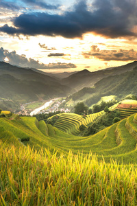 Rice Terraces At Sunset (1242x2668) Resolution Wallpaper