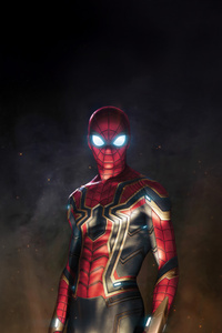 Rise Of The Spider Man (800x1280) Resolution Wallpaper