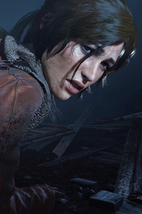 Rise Of The Tomb Raider 8k (240x400) Resolution Wallpaper