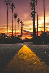 Road In City During Sunset