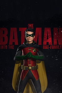 Robin Batman Family (320x568) Resolution Wallpaper