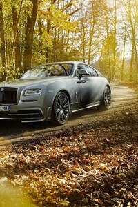 1440x2560 Rolls Royce Wraith