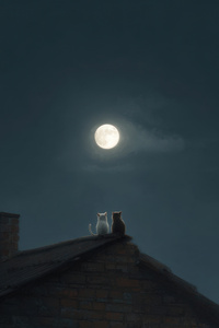Rooftop Date Night (640x1136) Resolution Wallpaper