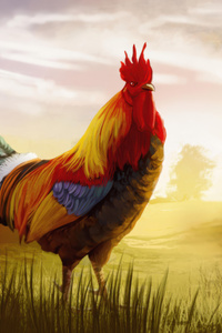 Rooster At Country Sunrise (1080x2160) Resolution Wallpaper