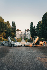 Royal House Lamborghini (1080x2400) Resolution Wallpaper