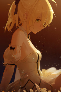2160x3840 Saber Lily Fate Grand Order