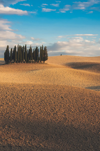 Sand Tuscany Hills 5k