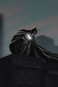 Searching In The Dark Batman 4k (1080x1920) Resolution Wallpaper