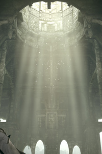 Shadow Of The Colossus 2017 (360x640) Resolution Wallpaper