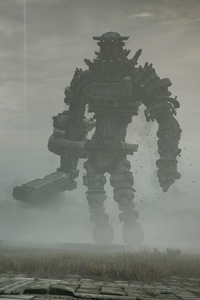 Shadow Of The Colossus Special Edition 2017 (1080x2160) Resolution Wallpaper