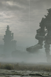 Shadow Of The Colossus Special Edition 2017 (1280x2120) Resolution Wallpaper