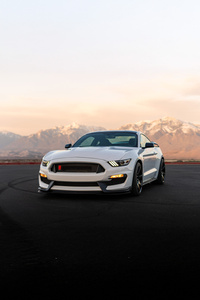 Shelby Gt350 (1080x1920) Resolution Wallpaper
