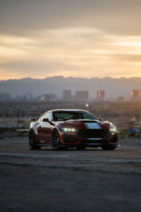 Shelby Super Snake (640x960) Resolution Wallpaper