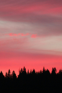 Side Of Lost Lake At Sunset (1125x2436) Resolution Wallpaper