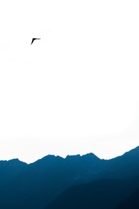 Silhouettes Survelva Switzerland (480x854) Resolution Wallpaper