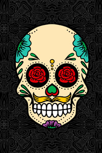 540x960 Skull Abstract Rose Flowers