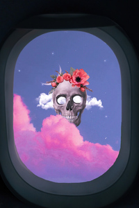 1080x2280 Skull From Flight