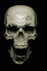 540x960 Skull