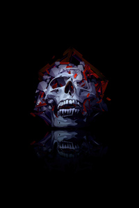 1080x2280 Skull Roses 4k