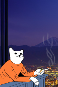 Smoking Cat (540x960) Resolution Wallpaper