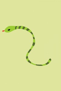 Snake Minimalism