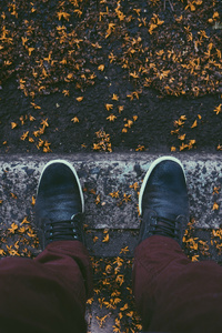 Sneakers Autumn Leaves Fallen 5k
