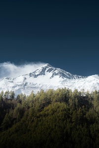 Snow Covered Mountain And Forest Under A Blue Sky (240x320) Resolution Wallpaper